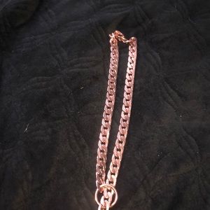 Dog chain large
